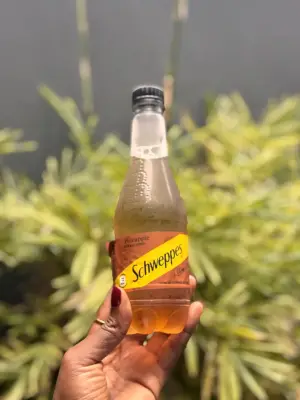 Shweppes Pineapple