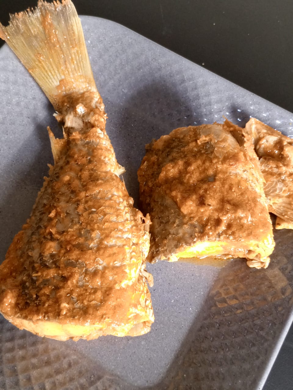 Croaker Fish — Small
