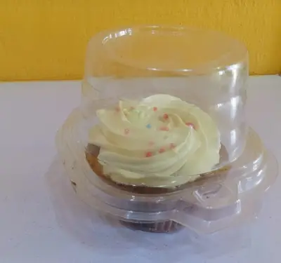 Iced vanilla cupcake