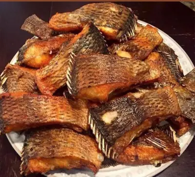 Tilapia fish