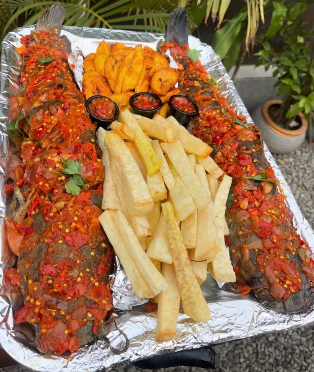 Grilled Catfish from Yummies By Baits Express